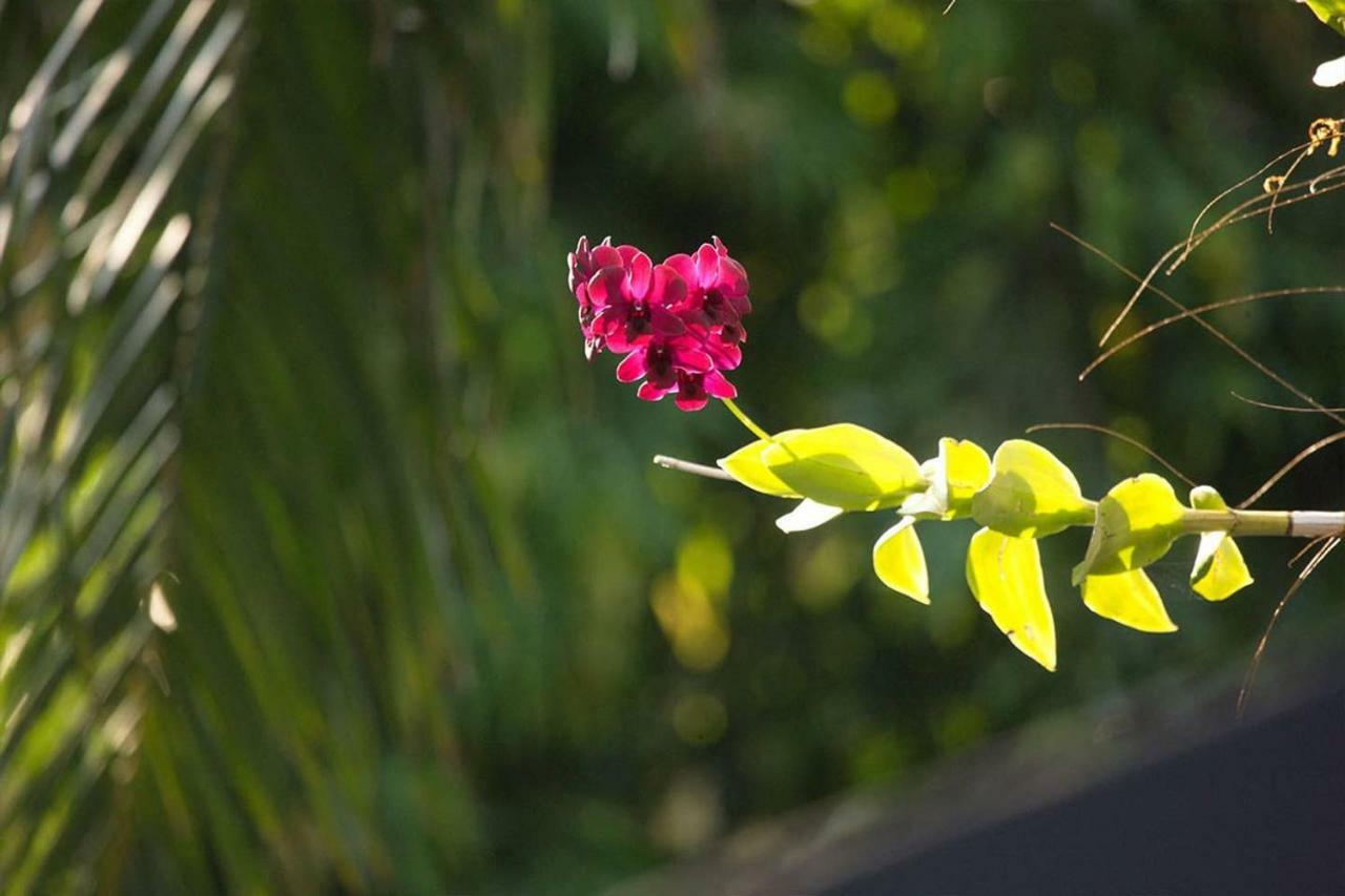 Baan Heaven / Patong Beach Pool Villa Sleeps Up To 15 외부 사진